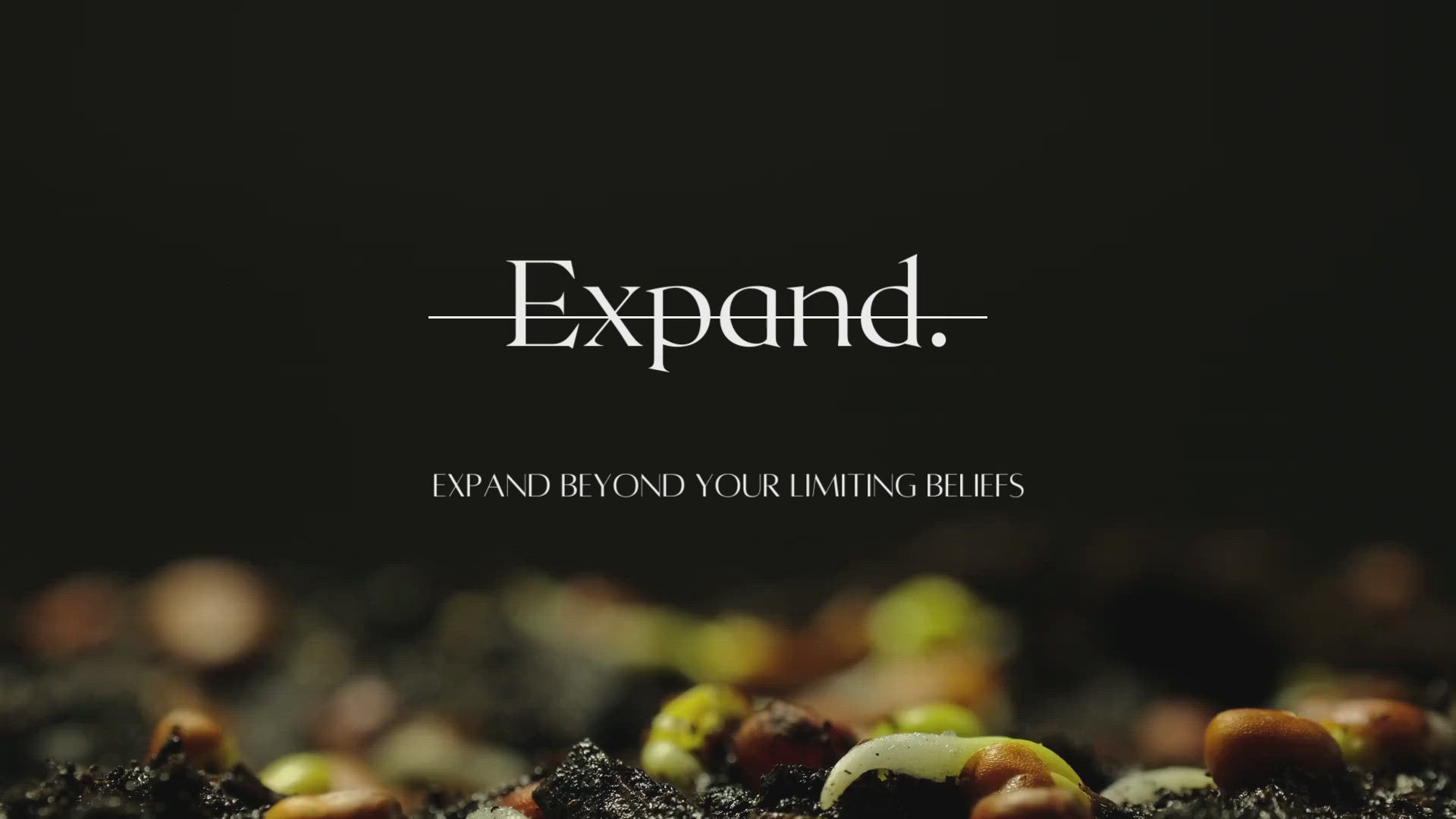 Expand - Expand Your Horizon (4 items)